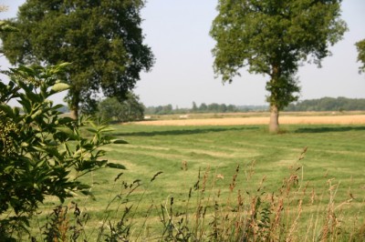 landschaftwohnung2.jpg